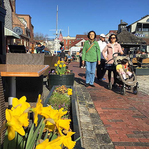 Newport Daffodil Days Festival Bowen's Wharf