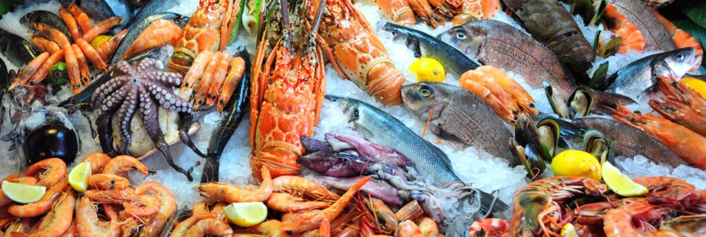 Fresh Seafood Fresh Shellfish At Bowens Wharf
